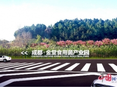 “一對(duì)一”專人服務(wù) 成都金堂食用菌產(chǎn)業(yè)園復(fù)工復(fù)產(chǎn) ()