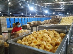 古田：有序組織食用菌企業(yè)疫情防控和復(fù)工復(fù)廠(chǎng) ()