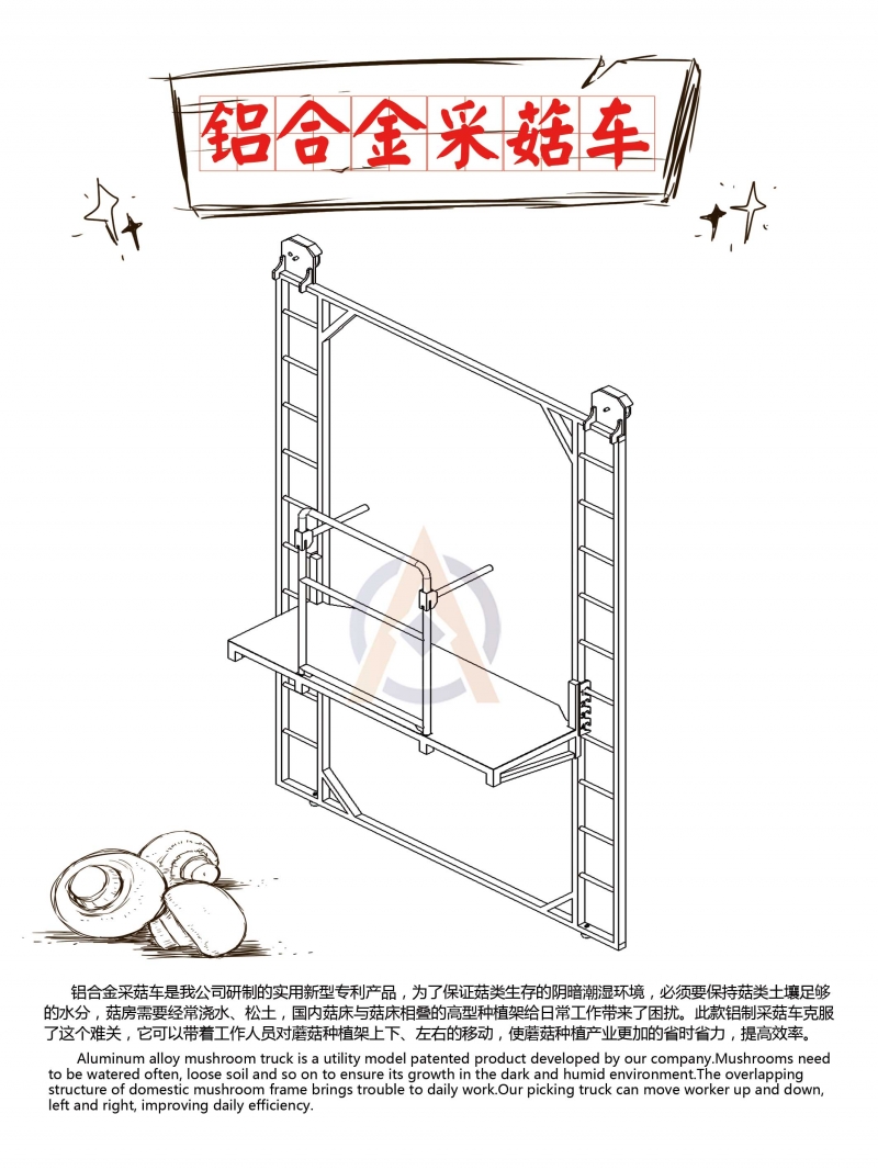 食用菌-產品簡介