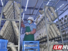 湖南味菇坊：捐愛(ài)心蘑菇 助力疫情防控 ()