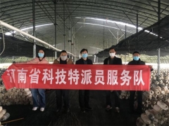 香菇平菇已賣(mài)1.2萬(wàn)公斤！漯河醫(yī)專(zhuān)助力幫扶村很得力 ()