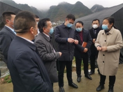 貴州省市食用菌專(zhuān)家走進(jìn)德江田間地頭 “把脈問(wèn)診” ()