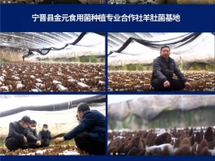 超1.78萬(wàn)人次，3400條留言！2020第五屆全國(guó)羊肚菌大會(huì)圓滿(mǎn)結(jié)束 ()