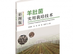 2020第五屆全國(guó)羊肚菌大會(huì)免費(fèi)獲贈(zèng)《彩圖版羊肚菌實(shí)用栽培技術(shù)》名單 ()