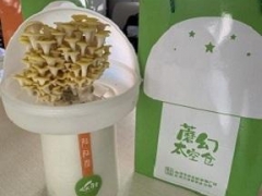 居家防疫不外出 自種蘑菇添樂(lè)趣 ()