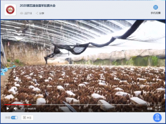 寧晉縣金元食用菌種植專(zhuān)業(yè)合作社帶領(lǐng)2020第五屆全國(guó)羊肚菌大會(huì)代表遠(yuǎn)程參觀(guān)羊肚菌基地 ()