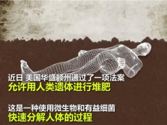 為什么“人體種蘑菇，用人體做堆肥”這么可怕的項(xiàng)目會(huì)被批準(zhǔn)？ ()