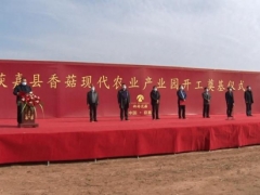 總投資4000萬(wàn) 占地200畝 獲嘉縣香菇現(xiàn)代農(nóng)業(yè)產(chǎn)業(yè)園項(xiàng)目開工奠基 ()