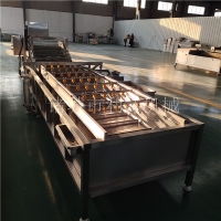供應(yīng)蔬菜清洗流水線 萵苣全自動(dòng)噴淋清洗機(jī) 青菜氣泡清洗機(jī)