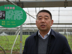 聚焦熱點(diǎn)  弘亞·2020第二屆中國(guó)大球蓋菇產(chǎn)業(yè)發(fā)展大會(huì)圓滿結(jié)束 ()
