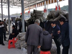 湖北十堰香菇小鎮(zhèn)正值農(nóng)忙 疫情期間香菇銷售280萬(wàn)斤 ()