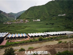探秘！食用菌發(fā)展中的菌農(nóng)期待與產(chǎn)業(yè)鏈回應(yīng) ()