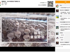 新技術(shù) 新格局 新形式：國(guó)鑫裝備·2020中國(guó)香菇產(chǎn)業(yè)網(wǎng)絡(luò)大會(huì)圓滿召開 ()