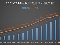 食用菌市場(chǎng)研究：主導(dǎo)全球70%產(chǎn)量的食用菌，工業(yè)化種植卻不足10% ()