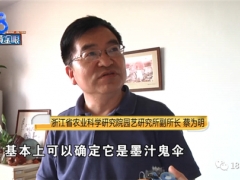 “墻角長(zhǎng)蘑菇嚇哭女業(yè)主”后續(xù)：國(guó)家級(jí)菌菇專家?guī)阕呓茖W(xué) ()