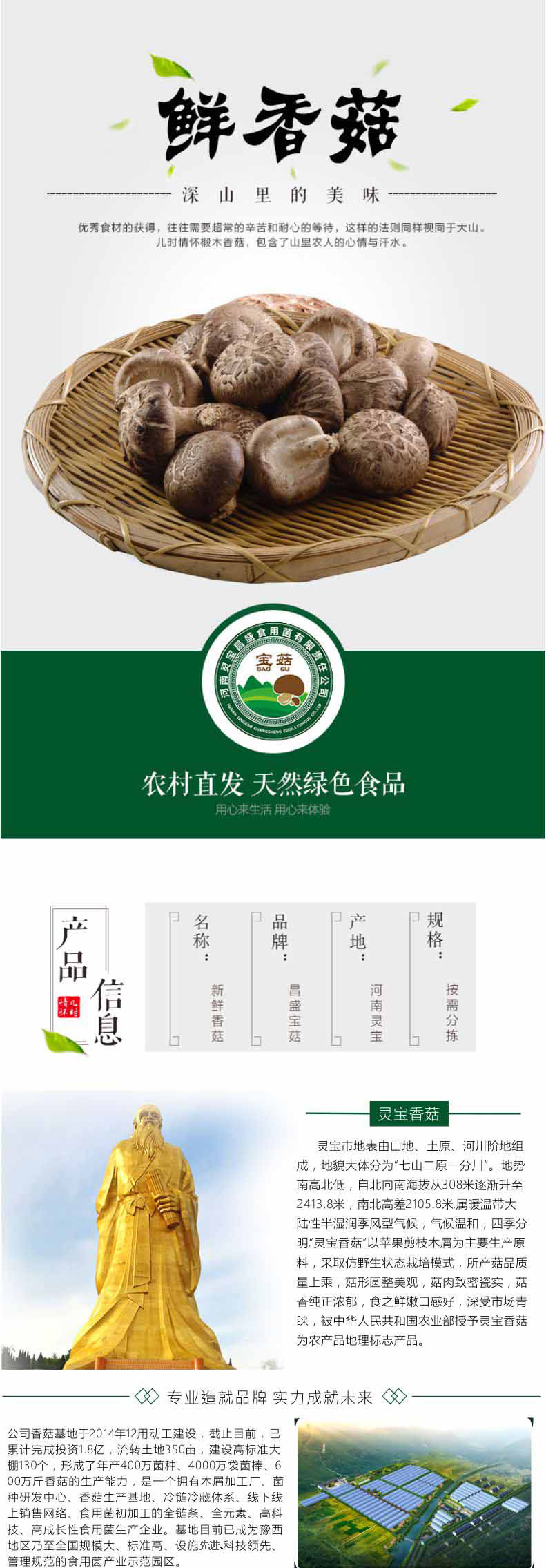 香菇詳情_(kāi)01