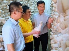 福建省“食用菌脆片加工示范基地”落戶漳州 ()