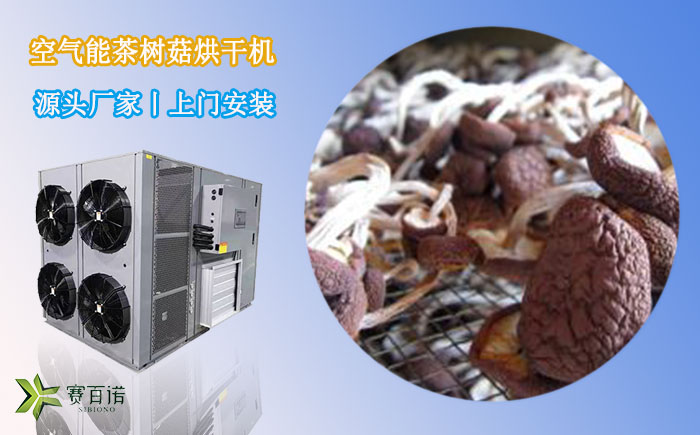 廣西茶樹菇烘干機(jī)