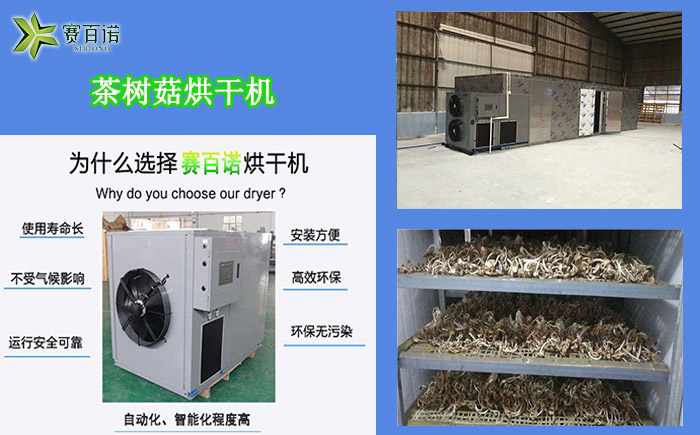 重慶茶樹菇烘干機(jī)