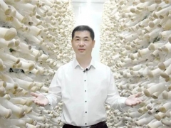 縣委書記路斌為道真食用菌代言！ ()