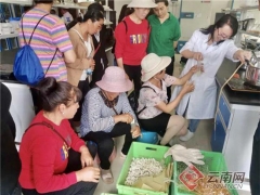 引導農(nóng)民種植食用菌“發(fā)家致富”昆明五華區(qū)這樣操作 ()