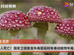 已造成6人死亡！國家衛(wèi)健委發(fā)布毒蘑菇和有毒動植物中毒提示 ()