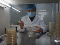 一顆蘑菇演繹科研人生——記甘肅省科學院生物研究所總工程師路等學 ()