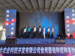 貴州織金：產(chǎn)學研一體化食用菌基地助推“黔菌出山” ()