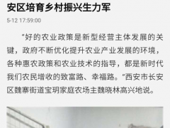 人民日報社報道：陜西學員魏曉林，羊肚菌畝產(chǎn)超千斤 ()