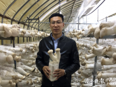 學機械的種起了蘑菇，膠州小伙跨界創(chuàng)業(yè)年產(chǎn)值三千多萬出口多國 ()