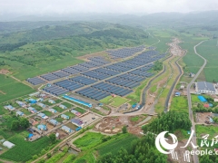 人民網(wǎng)："小木耳"如何做成"大產(chǎn)業(yè)"——專訪中國工程院院士李玉 ()