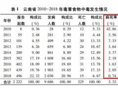 云南人嘗鮮見手青蘑菇能看到小精靈？這不好玩 還很嚴重 ()