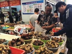 云南野生菌大量上市，松茸、雞樅供不應(yīng)求！中毒現(xiàn)象也層出不窮 ()