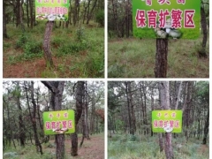 云南曲靖馬龍區(qū)建成千畝野生菌保育擴(kuò)繁基地 ()