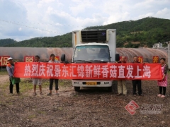 復(fù)工復(fù)產(chǎn)后 云南景東首車香菇運(yùn)往上海 ()