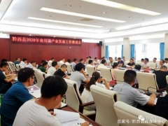 黔西縣2020年食用菌產(chǎn)業(yè)發(fā)展工作推進(jìn)會召開 ()