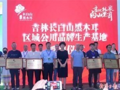 “吉林長白山黑木耳”區(qū)域公用品牌唱響農(nóng)博會 ()