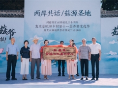 龍泉龍南鄉(xiāng)：以香菇為契，助推美麗城鎮(zhèn)“產(chǎn)業(yè)美”建設(shè) ()