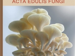 祝賀！《食用菌學(xué)報(bào)》進(jìn)入農(nóng)林領(lǐng)域我國(guó)高質(zhì)量科技期刊公示名單