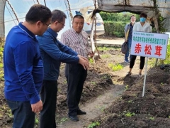 哈爾濱市科協(xié)調(diào)研秸稈種植精品食用菌項(xiàng)目 ()