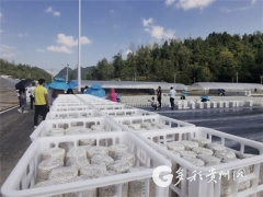 梵天菌業(yè)的小目標(biāo)：制定貴州省黑木耳種植標(biāo)準(zhǔn) ()