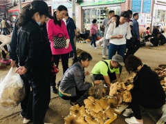 吃菌要抓緊，快落潮啦！昆明野生菌價格上漲 雞樅干巴菌最多 ()