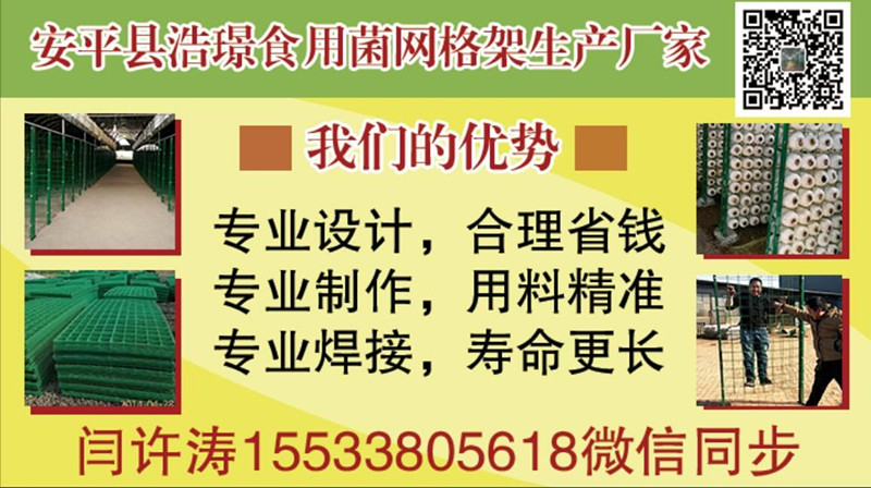 食用菌網(wǎng)格架，出菇架