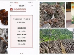 鎮(zhèn)巴黑木耳入選恒生評(píng)級(jí)資格農(nóng)產(chǎn)品 ()