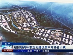 東寧綏陽：高標(biāo)準(zhǔn)規(guī)劃建設(shè)黑木耳特色小鎮(zhèn) ()