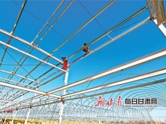 甘肅臨澤縣食用菌工廠化栽培生產(chǎn)車間加緊建設(shè) ()
