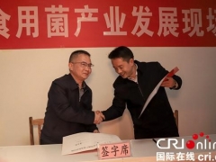 盤水：食用菌產(chǎn)業(yè)發(fā)展呈良好態(tài)勢 ()