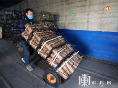 新春開工 森林食用菌迎來發(fā)展的春天 ()