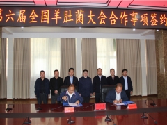 易菇網(wǎng)與舟曲縣就2021第六屆全國羊肚菌大會(huì)有關(guān)事項(xiàng)簽訂合作協(xié)議 ()