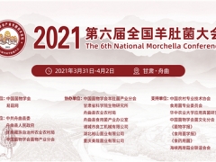 2021第六屆全國羊肚菌大會(huì)的通知（第一輪） ()